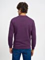 thumb-Regular Fit Erkek Sweatshirt