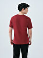thumb-Regular Fit Erkek Tshirt K.kol