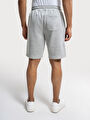 thumb-Regular Fit Erkek Şort