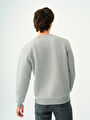 thumb-Regular Fit Erkek Sweatshirt