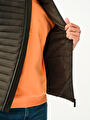 thumb-Regular Fit Erkek Yelek