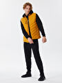 thumb-Regular Fit Erkek Yelek