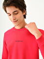 thumb-Regular Fit Erkek Sweatshirt