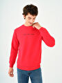 thumb-Regular Fit Erkek Sweatshirt