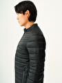 thumb-Regular Fit Erkek Mont