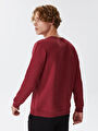 thumb-Regular Fit Erkek Sweatshirt