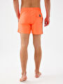 thumb-Regular Fit Erkek Deniz Şortu