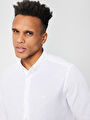 thumb-Regular Fit Erkek Gömlek U.kol