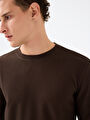 thumb-Regular Fit Erkek Tshirt U.kol