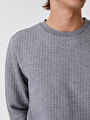 thumb-Regular Fit Erkek Sweatshirt