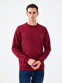 thumb-Regular Fit Erkek Sweatshirt