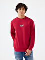 thumb-Regular Fit Erkek Sweatshirt