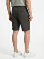 thumb-Regular Fit Erkek Şort