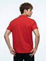 thumb-Regular Fit Erkek Polo K.kol