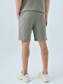 thumb-Regular Fit Erkek Şort