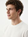 thumb-Regular Fit Erkek Tshirt K.kol
