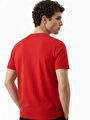 thumb-Regular Fit Erkek Tshirt K.kol