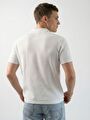 thumb-Regular Fit Erkek Polo K.kol