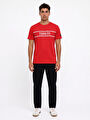 thumb-Regular Fit Erkek Tshirt K.kol