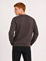 thumb-Regular Fit Erkek Sweatshirt