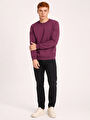thumb-Regular Fit Erkek Sweatshirt