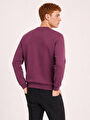 thumb-Regular Fit Erkek Sweatshirt